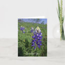 Pesquisar por jesus te ama cartoes Cristão