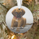 Pesquisar por imagens do xmas ornamentos Primeiro natal