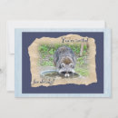 Pesquisar por raccoon convites Animal