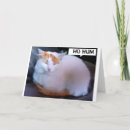 Pesquisar por gato triste cartoes Qualquer pessoa