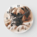 Pesquisar por boxer relogios de parede Animal