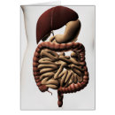 Pesquisar por descendentes cartoes postais Estômago