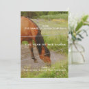 Pesquisar por cavalo convites Natureza