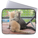 Pesquisar por imagens dos gatos capas Gatinhos