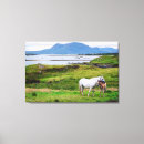 Pesquisar por imagens animais impressão de canvas Cavalo