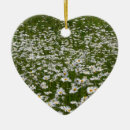 Pesquisar por flor do campo ornamentos Para todos