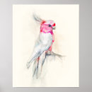 Pesquisar por opera pôsteres pósteres Tropical