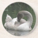 Pesquisar por cisne porta copos Elegante
