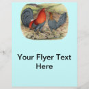 Pesquisar por azuis flyers Galinha