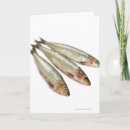Pesquisar por sardinhas cartoes Comida