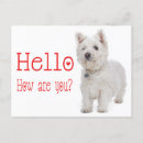 Pesquisar por west highland terrier cartoes postais Westie
