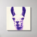 Pesquisar por lama impressão de canvas Animais