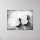 Pesquisar por borboleta preto e branco pósteres impressão de canvas Para todos
