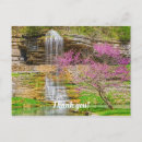 Pesquisar por cascatas cartoes Qualquer pessoa