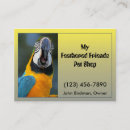 Pesquisar por papagaio cartao de visita Colorido