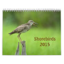 Pesquisar por shorebird Natureza