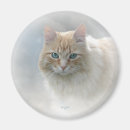 Pesquisar por anjo do gato Animais