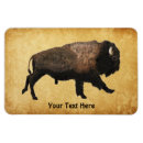 Pesquisar por planícies imas Bisão