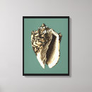 Pesquisar por shell impressão de canvas Oceano