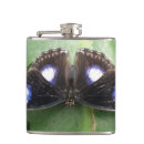 Pesquisar por borboleta azul cantis Bonito