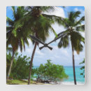 Pesquisar por palmeira tropical relogios de parede Palma