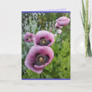 Pesquisar por papagaio colorido cartoes Para ela