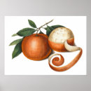 Pesquisar por pintura chinesa pôsteres pósteres Chinês