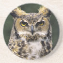 Pesquisar por garra porta copos Fauna