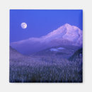 Pesquisar por mt hood imas Neve