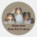 Pesquisar por sheltie adesivos Estante