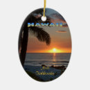 Pesquisar por natal de havaí ornamentos Praia