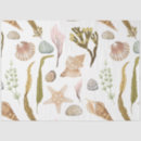 Pesquisar por marine life Peixe