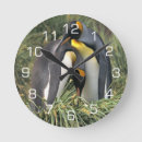 Pesquisar por rei relogios de parede Qualquer pessoa