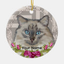 Pesquisar por ragdoll casa presentes Gatos