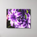 Pesquisar por bulbo impressão de canvas Flor