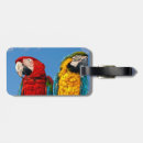 Pesquisar por arara azul acessorios Aves