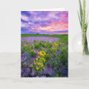 Pesquisar por canola cartoes postais Paisagem