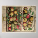 Pesquisar por pieter pôsteres pósteres Fruta