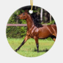 Pesquisar por cavalo árabe ornamentos Prumo langrish