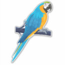 Pesquisar por macaw adesivos Exótico