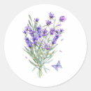 Pesquisar por flores lavanda adesivos Qualquer pessoa