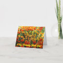 Pesquisar por tulipas amarelas cartoes Laranja