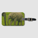 Pesquisar por elefante bagagem tags Fotografia da natureza