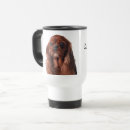 Pesquisar por cavalier king charles spaniel canecas Animal