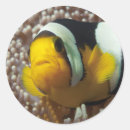 Pesquisar por nemo adesivos Vida marinha
