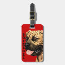 Pesquisar por macho bagagem tags Cão