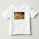 Pesquisar por buddha roupas Espiritual