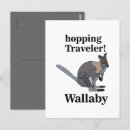 Pesquisar por wallaby Vida selvagem