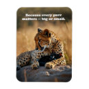 Pesquisar por impressão animal imas Qualquer pessoa