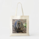 Pesquisar por marsupial bolsas Quokka